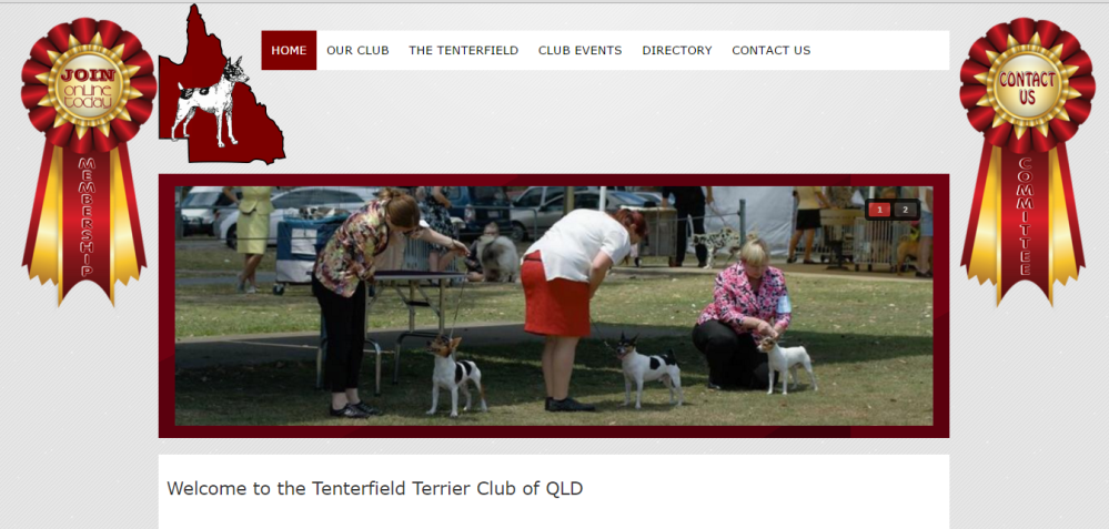 Tenterfield Terrier Club of QLD