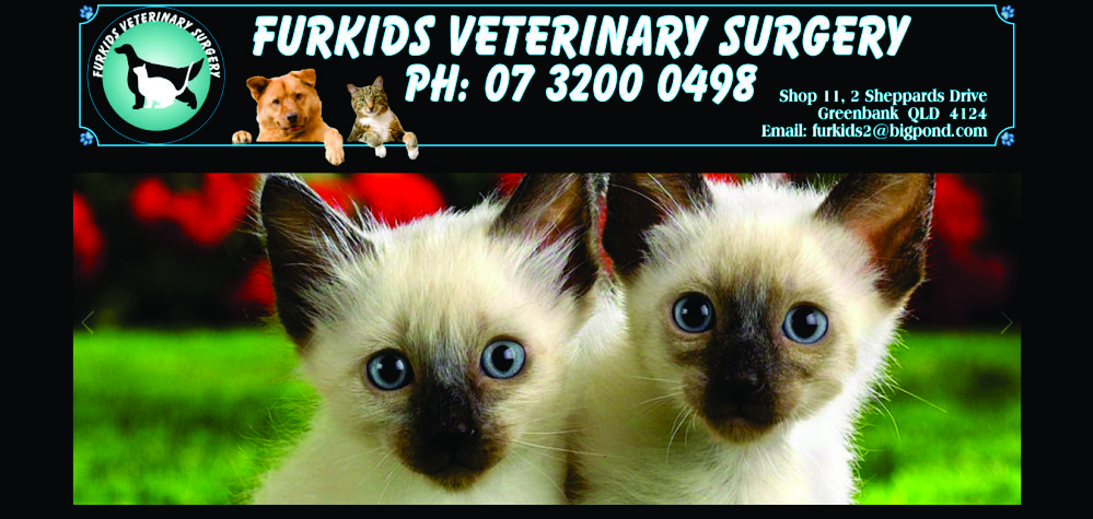 Furkids Veterinary Surgery